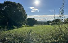 NRMF2024 DuoWeinWeibCello Stammenmuehle 06