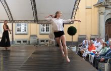 PlaisirdAmour Dyck 11