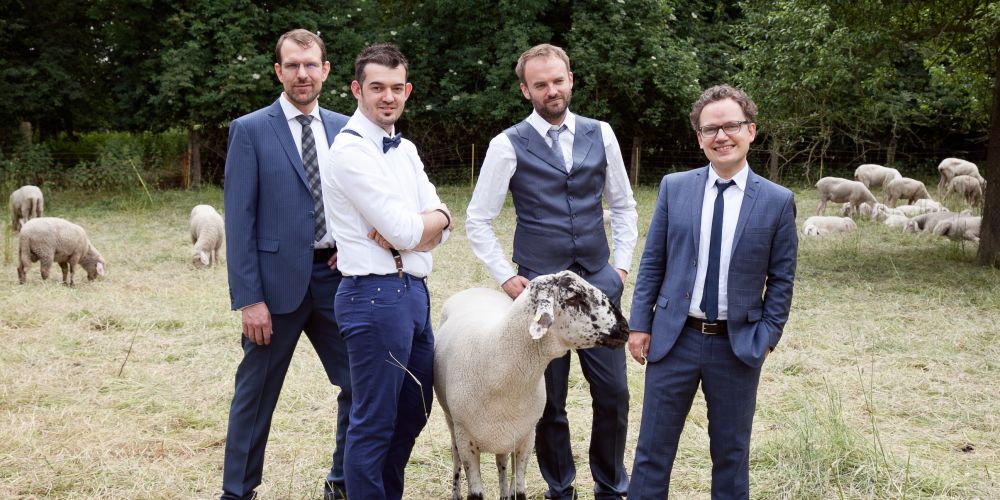 Das Quartett auf einer Schafweide