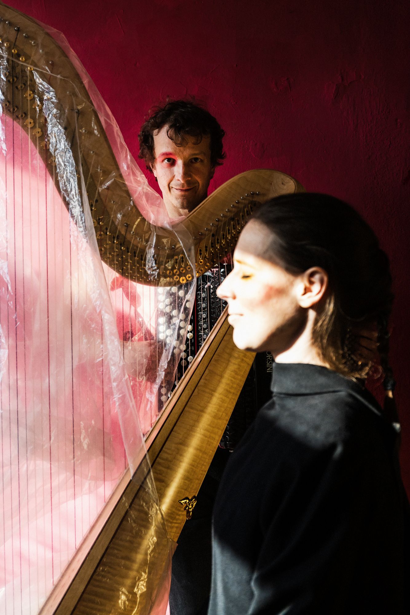 Ein Akkordeonist und eine Harfenistin